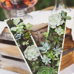 10 succulent garden ideas.jpg