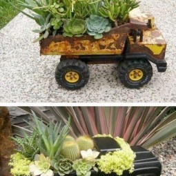 12 succulent garden ideas.jpg