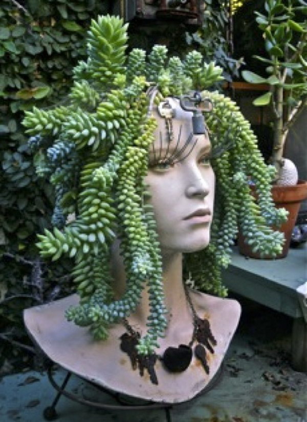 16 succulent garden ideas.jpg