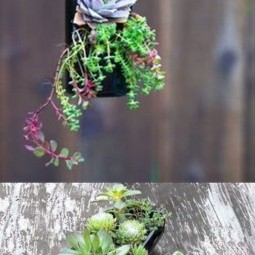 17 succulent garden ideas.jpg