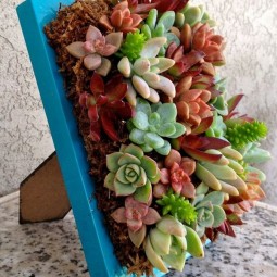 23 succulent garden ideas.jpg