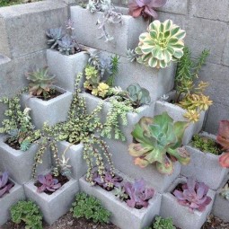 27 succulent garden ideas.jpg