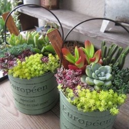 30 succulent garden ideas.jpg