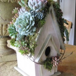 32 succulent garden ideas.jpg