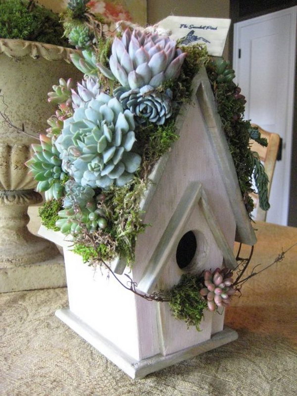 32 succulent garden ideas.jpg