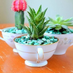 35 succulent garden ideas.jpg