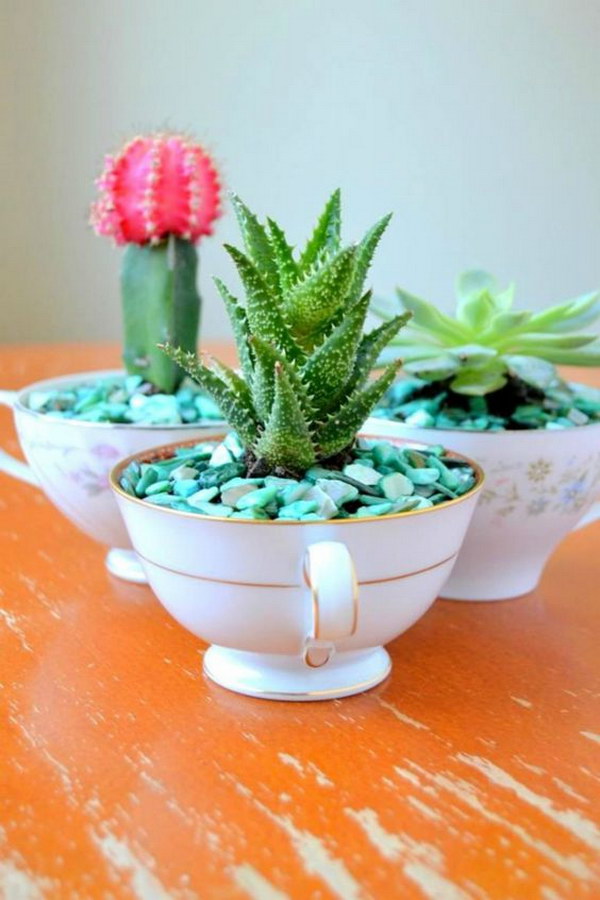 35 succulent garden ideas.jpg