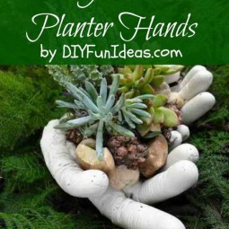 37 succulent garden ideas.jpg