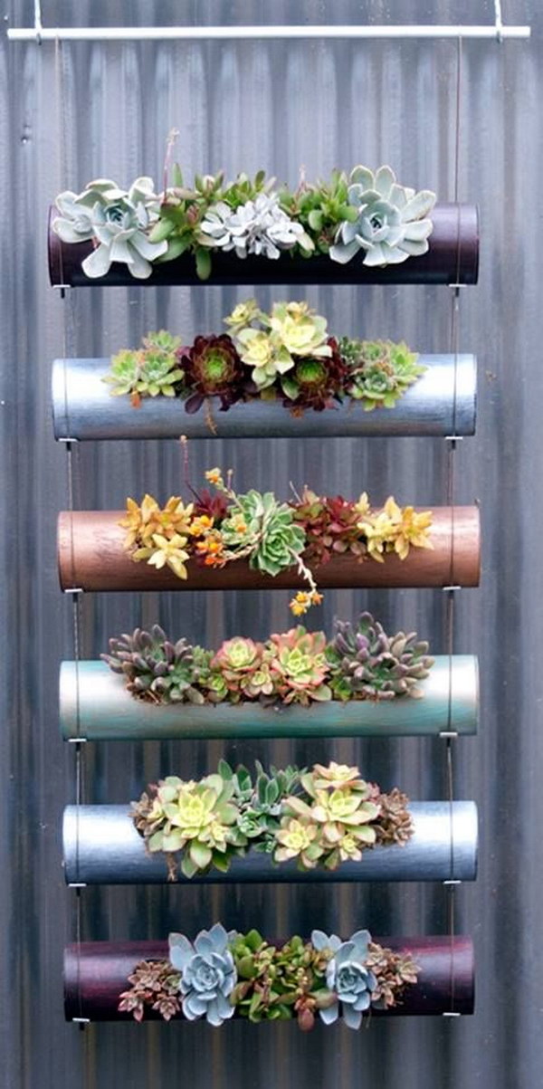 6 succulent garden ideas.jpg