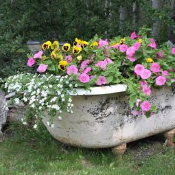 13 creative garden container ideas homebnc.jpg