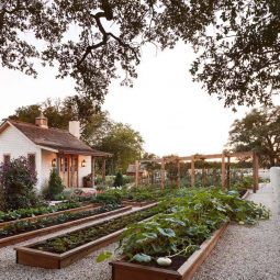 Inspiring vegetable garden ideas 011 1 kindesign 1.jpg