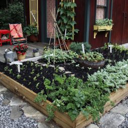 Inspiring vegetable garden ideas 08 1 kindesign 1.jpg