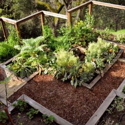 Inspiring vegetable garden ideas 10 1 kindesign 1.jpg