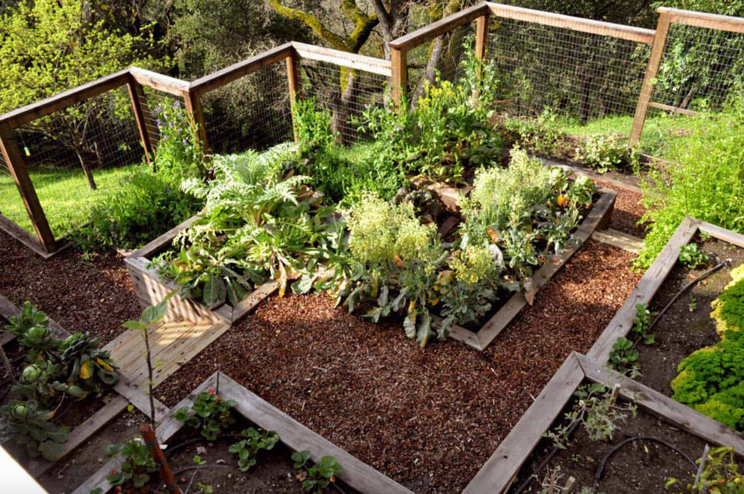 Inspiring vegetable garden ideas 10 1 kindesign 1.jpg