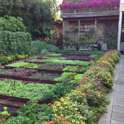 Inspiring vegetable garden ideas 13 1 kindesign 1.jpg