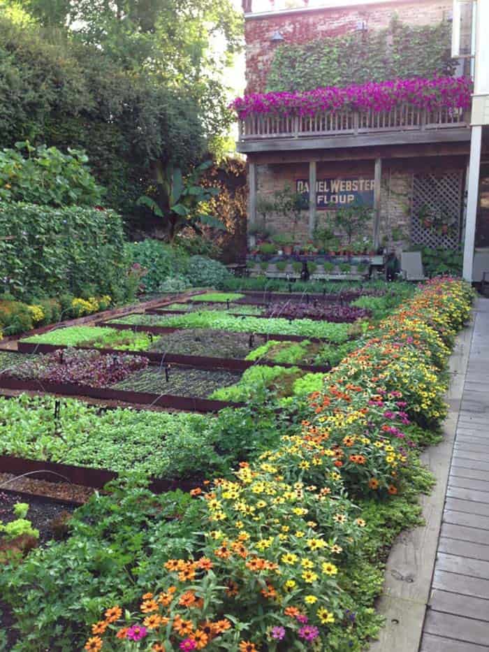 Inspiring vegetable garden ideas 13 1 kindesign 1.jpg