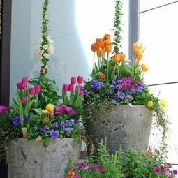 Interessante blumentoepfe idee 600x530.jpg